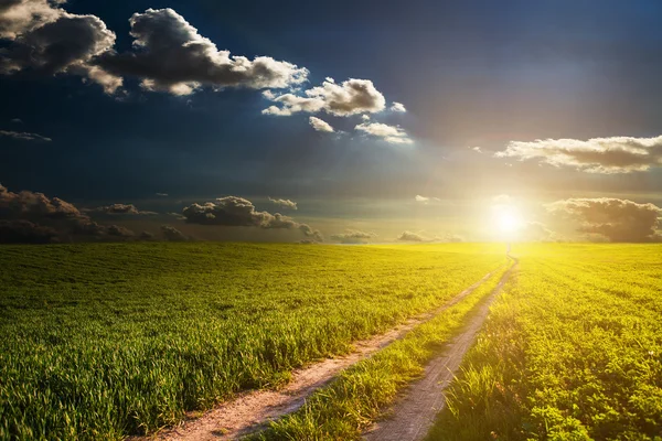 Grüne Wiese und schöner Sonnenuntergang — Stockfoto