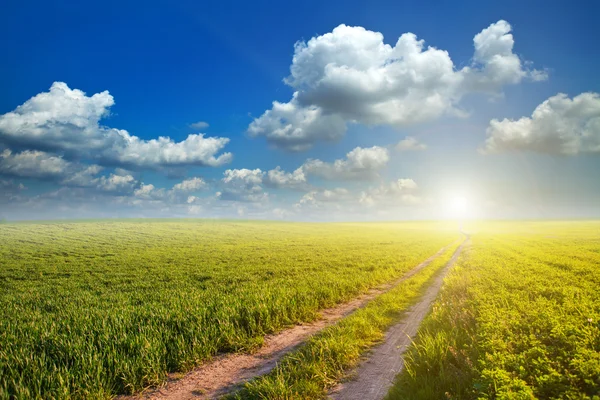 Green Field and Beautiful Sunset — Stock Photo, Image