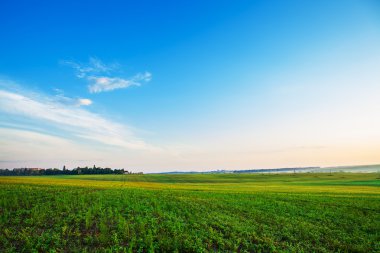 Yeşil Alan ve Güzel Gün Batımı