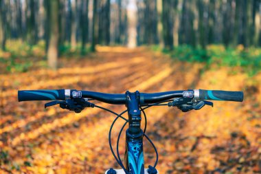 Dağ bisikleti hızlı bisiklet üzerinde azalan tepeden aşağı. Üzerinden görüntülemek