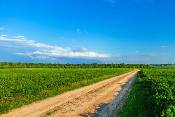 Green Field and Beautiful Sunset — Stock Photo, Image