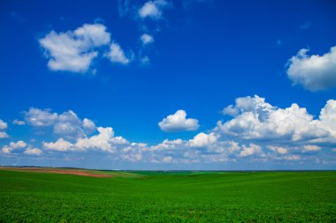 Yeşil Alan ve Güzel Gün Batımı