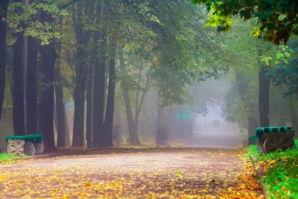 Herbst im Park — Stockfoto