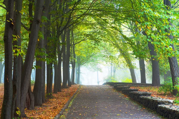 Herbst im Park — Stockfoto