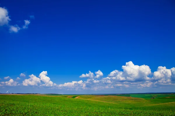 Green Field and Beautiful Sunset — Stock Photo, Image