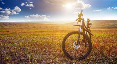 Dağ bisikleti hızlı bisiklet üzerinde azalan tepeden aşağı. Üzerinden görüntülemek