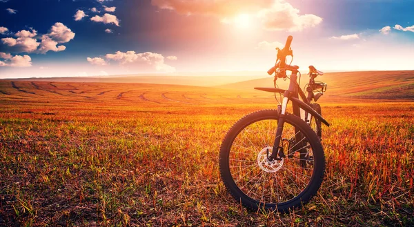 Mountain biking down hill descending fast on bicycle. View from — Stock Photo, Image