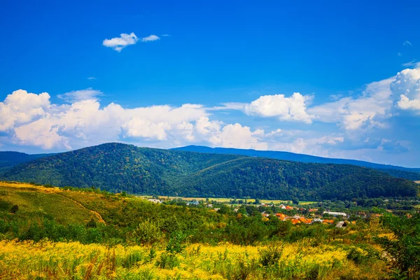 Прекрасный зеленый пейзаж Карпаты гор с голубым небом — стоковое фото