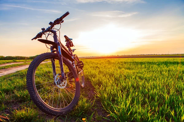 Чорний спортивний велосипед стоїть на полі на світанку — стокове фото