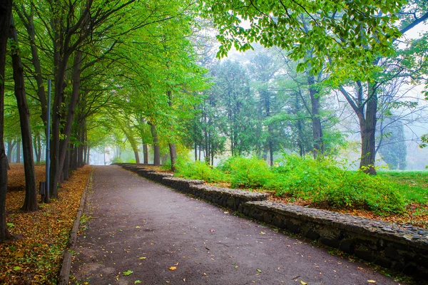 Herbstpark und kleiner Nebel — Stockfoto