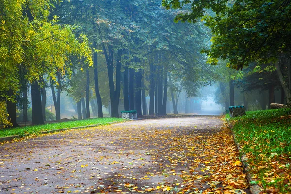秋には中央公園、小さな霧 — ストック写真