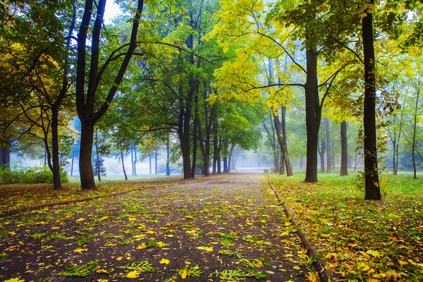 Small fog is in autumn in a central park — Stock Photo, Image
