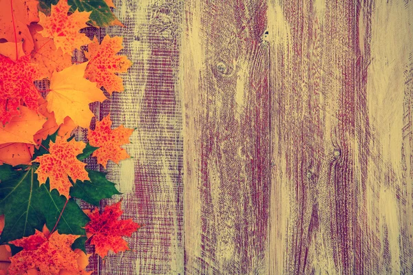 Осиные листья в форме прицела, изолированного на деревянном бэкгре — стоковое фото