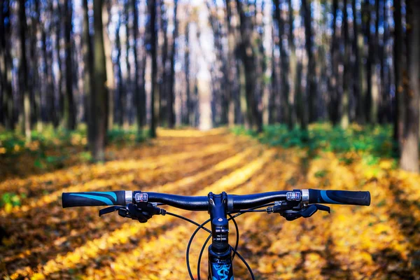 Mountain biking down hill descending fast on bicycle. View from — Stock Photo, Image