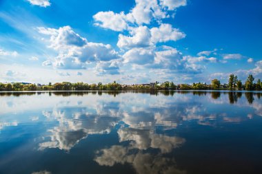 Resimli orman ve nehir.