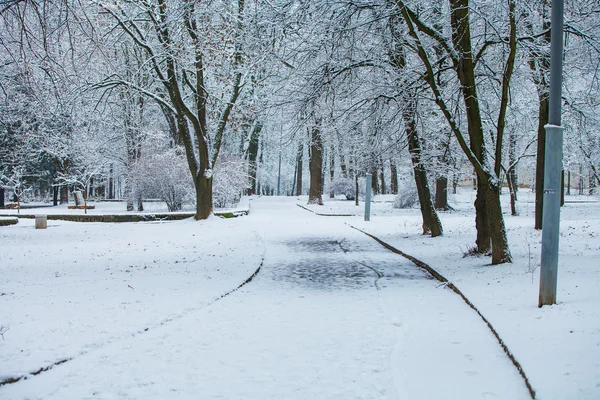 Winter stadspark in ochtend — Stockfoto