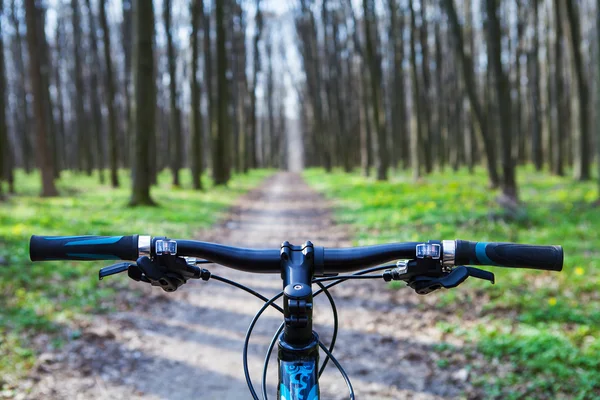 Ciclismo de montaña colina abajo descendiendo rápido en bicicleta. Vista desde — Foto de Stock