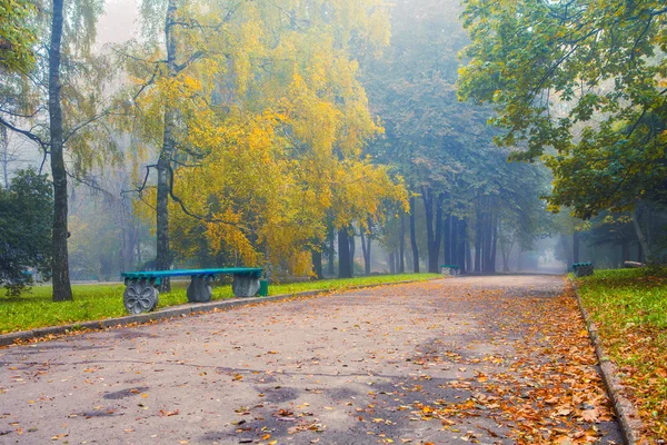 Kleiner Nebel liegt im Herbst in einem zentralen Park — Stockfoto