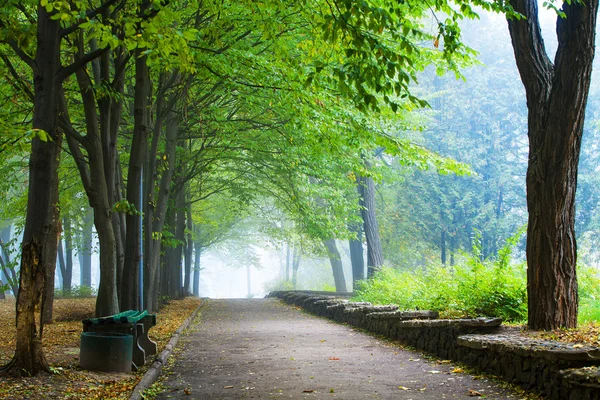 Beautiful avenue in to the park — Stock Photo, Image