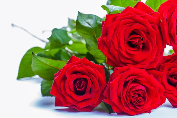 Rose rosse e ornamenti a forma di cuore su sfondo bianco — Foto Stock