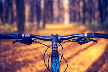 Dağ bisikleti hızlı bisiklet üzerinde azalan tepeden aşağı. Üzerinden görüntülemek