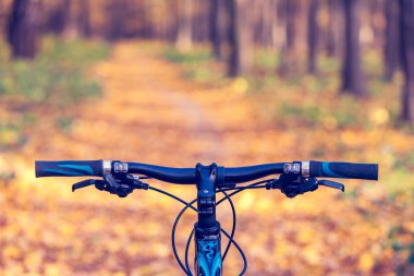 Dağ bisikleti hızlı bisiklet üzerinde azalan tepeden aşağı. Üzerinden görüntülemek