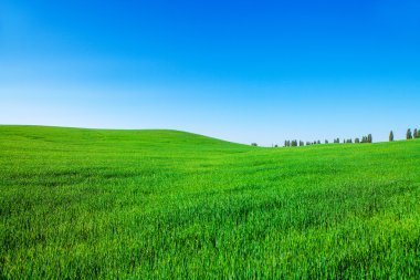 Vespers alan güneş güzel ayarı ile