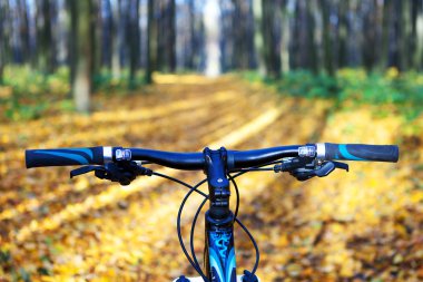 dağ bisikleti tepeden aşağı