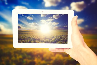 Tablet bilgisayar kadın elinde