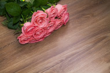 Güzel pembe güller