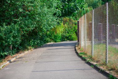 parkın içinden asfalt yol