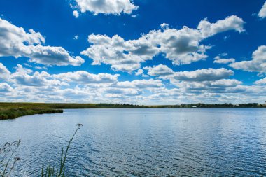 Resimli orman ve nehir.