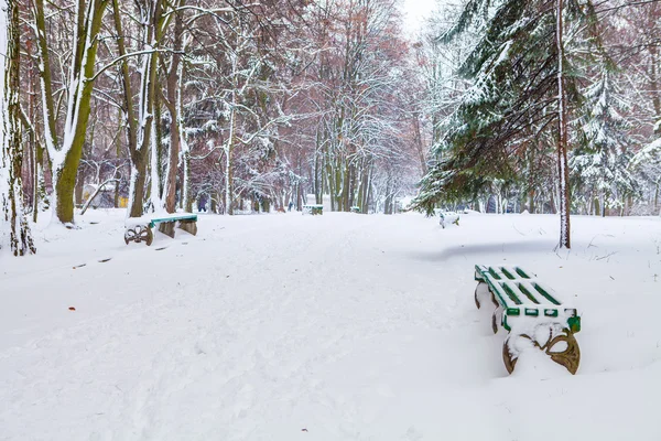 Journée d'hiver dans le parc — Photo
