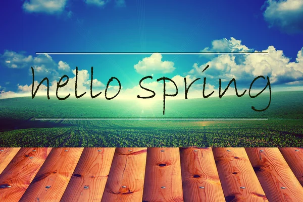 Hello spring lettering — Stock Photo, Image