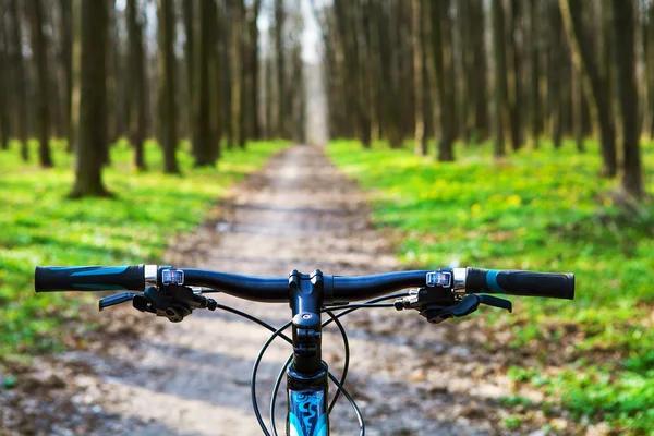 Ciclismo de montaña colina abajo — Foto de Stock