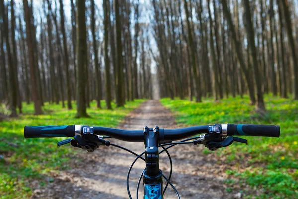 Montanha de bicicleta descendo colina — Fotografia de Stock