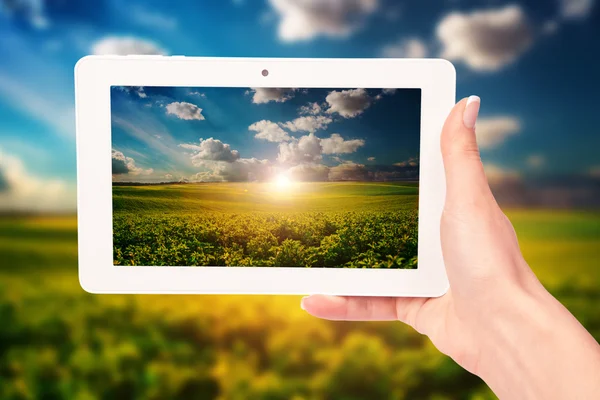 Female hand holding tablet — Stock Photo, Image