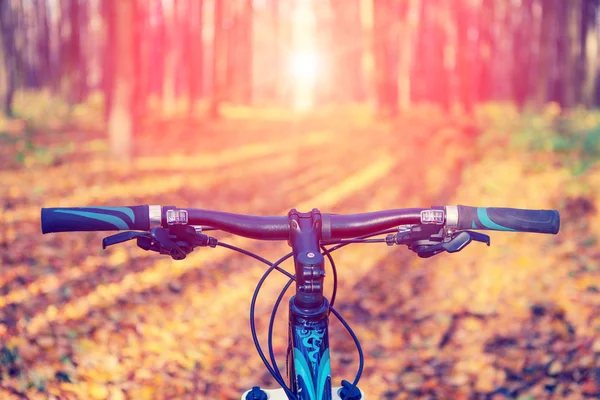 Mountain biking down hill — Stock Photo, Image