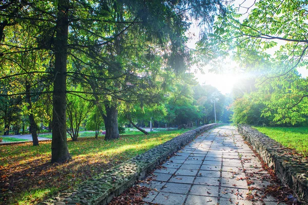 Beautiful road in park — Stock Photo, Image
