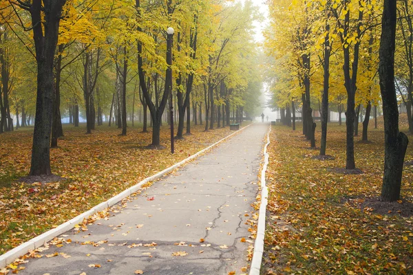 Nebbia nel parco autunnale — Foto Stock