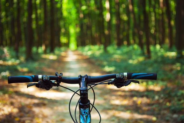 Mountain biking down hill — Stock Photo, Image