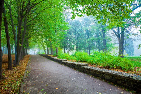 Красива дорога в парку — стокове фото