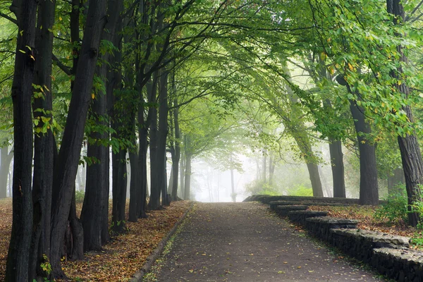 Vackra vägen i park — Stockfoto