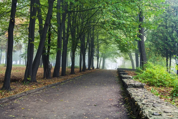 Niebla en el parque de otoño —  Fotos de Stock