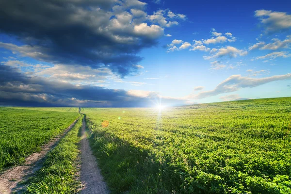 Grüne Wiese und schöner Sonnenuntergang — Stockfoto