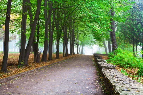 Schöne Allee in den Park — Stockfoto