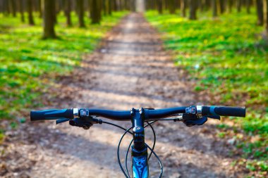 dağ bisikleti tepeden aşağı