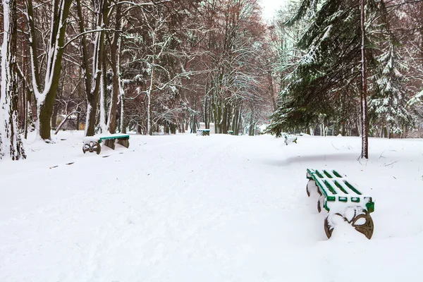Día de invierno en el parque — Foto de Stock