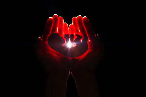 embriyo siluet eller içinde