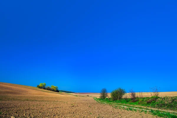 Gepflügtes Frühlingsfeld — Stockfoto